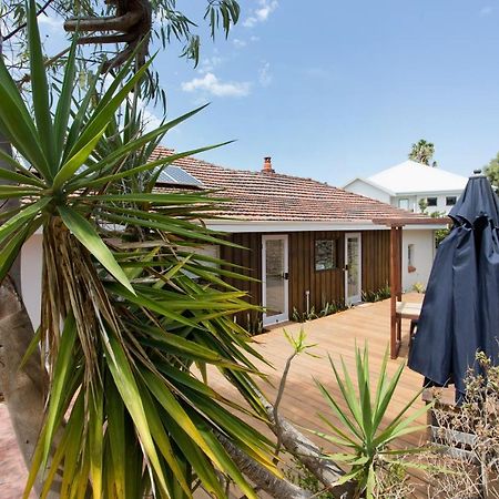 Dingo At White Gum Lodge Fremantle Ngoại thất bức ảnh